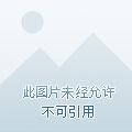 愿你与你自己温暖相依