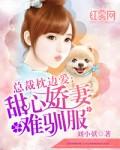 总裁枕边的替嫁新娘有声