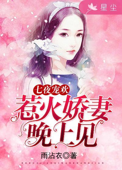 七夜宠妻免费