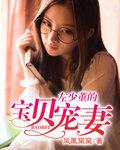 左少前妻很抢手免费阅读