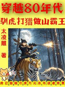 穿越80年代推荐