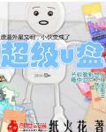超级u盘TXT奇书网