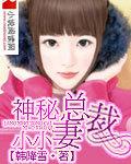 神秘总裁小小的妻