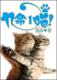 九命一喵by