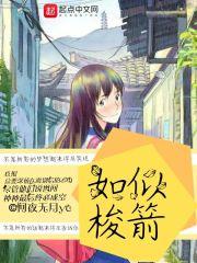 似箭如梭什么意思