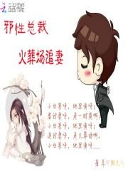 邪性总裁宠妻在线全文阅读