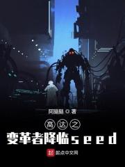 高达之变革者降临TXT
