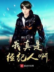 我只是个经纪人hp